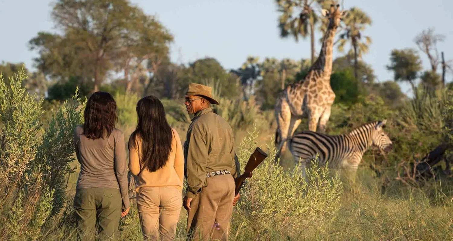 Explore 11-Day Rwanda Gorillas, Kenya, And Maasai Mara Adventure. for 11 days with Golden Rwanda Safaris Ltd and discover unforgettable experiences - Photo 2