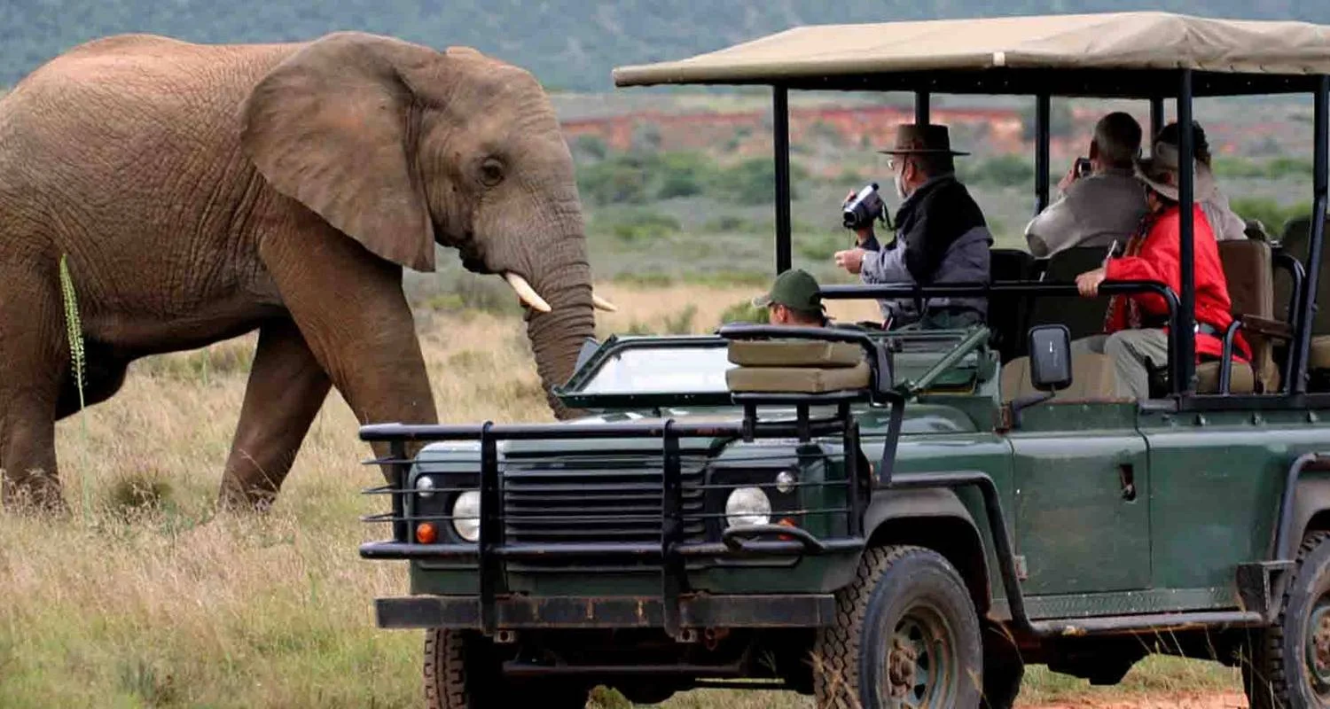 Explore 3-Day Trip To Akagera National Park for 3 days with Golden Rwanda Safaris Ltd and discover unforgettable experiences - Photo 2