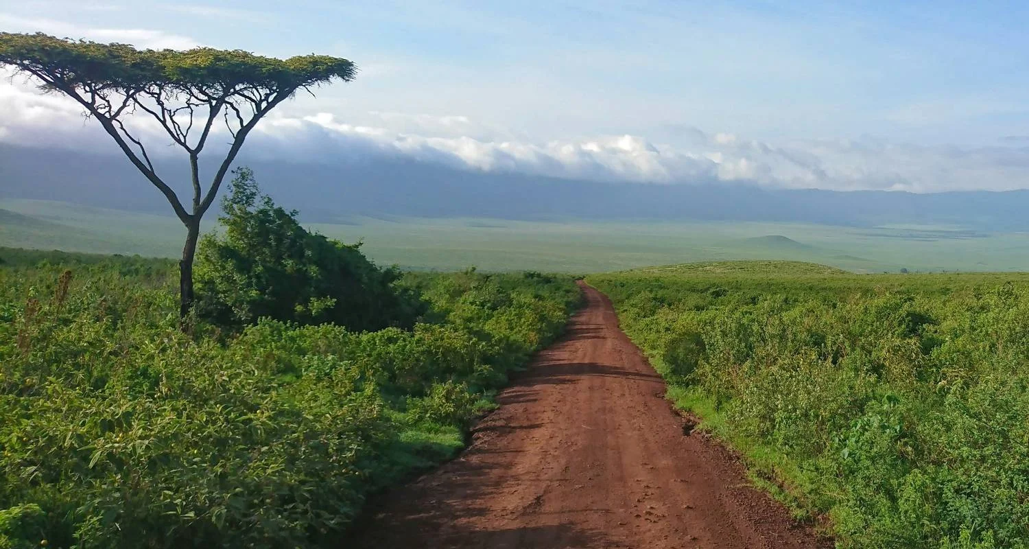 Explore 7 Days Safari and Zanzibar with Flights and Accommodation for 7 days with Golden world explore and discover unforgettable experiences - Photo 2