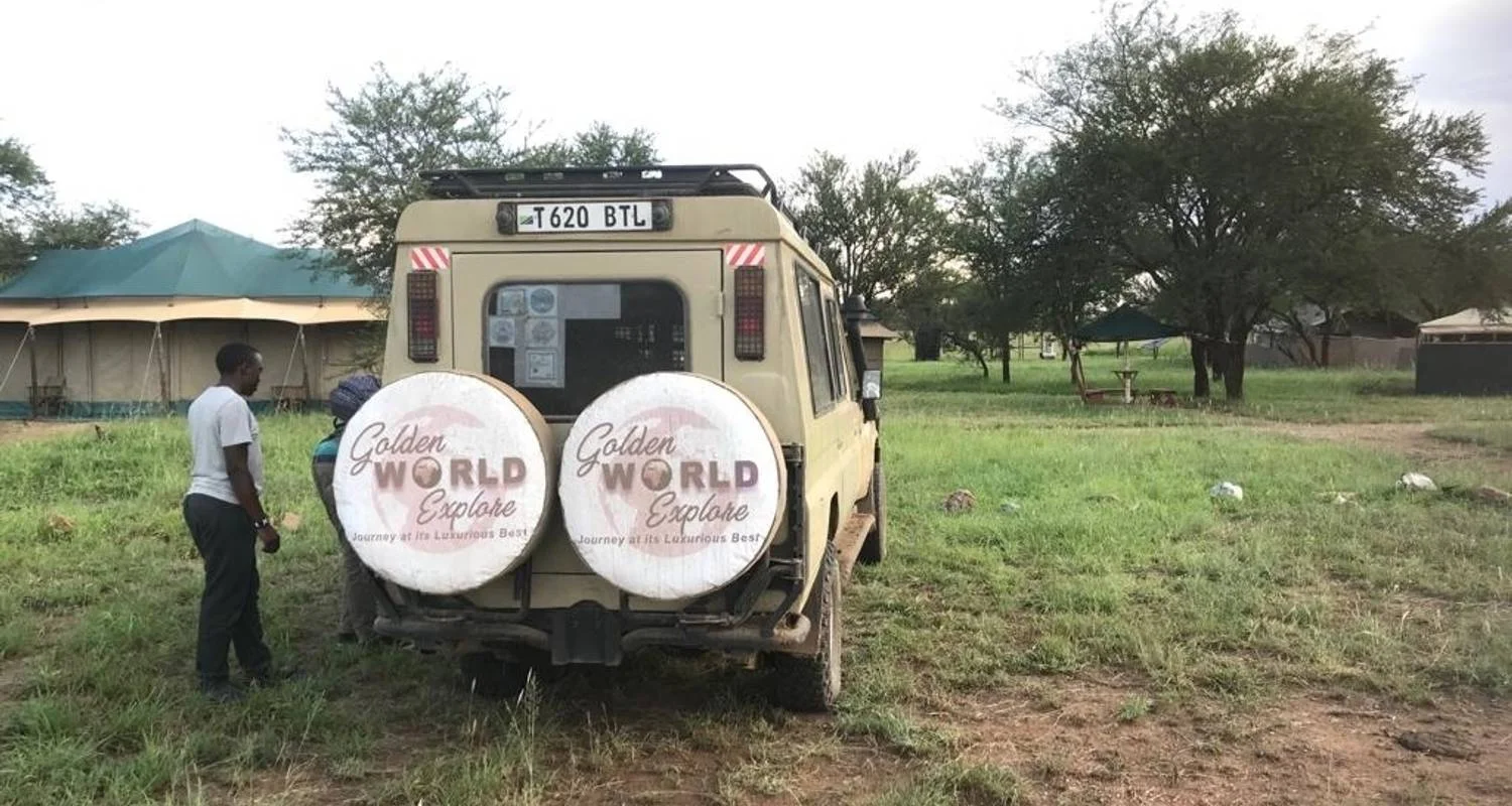 Explore 7 Days Wildlife Safari for 7 days with Golden world explore and discover unforgettable experiences - Photo 2