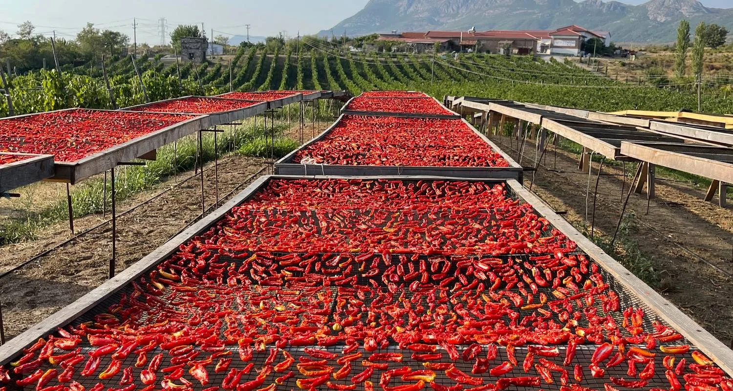 Explore Mini Tour: National Parks of Theth & Valbone for 4 days with Good Albania and discover unforgettable experiences - Photo 2