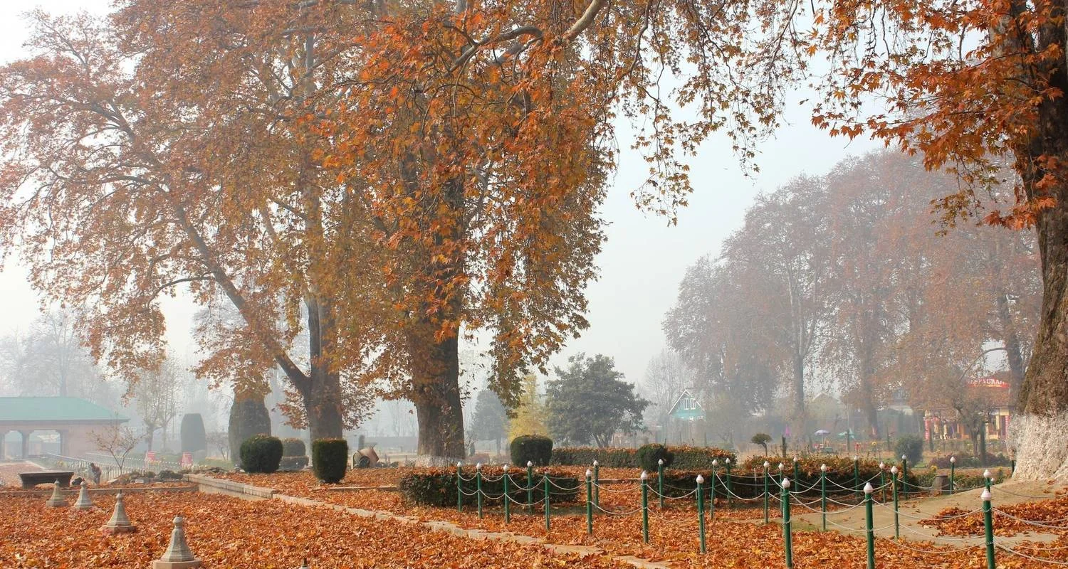 Explore Kashmir Tour with Srinagar for 6 days with Golden Triangle India Tours and discover unforgettable experiences - Photo 2