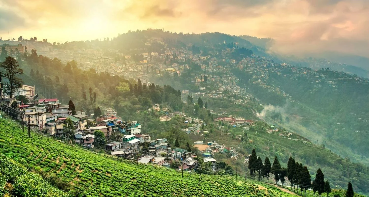 North East India Highlights - 7 days with Golden Triangle India Tours - Photo 2 Explore North East India Highlights for 7 days with Golden Triangle India Tours and discover unforgettable experiences - Photo 2