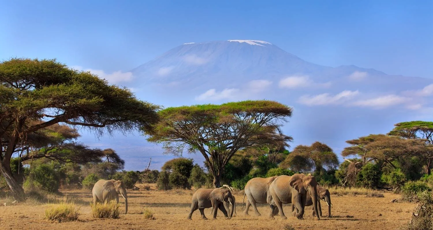 Explore 5Days, 4Nights Amboseli National Park Safari & Diani Beach Holiday for 5 days with Gracepatt Ecotours Kenya and discover unforgettable experiences - Photo 2
