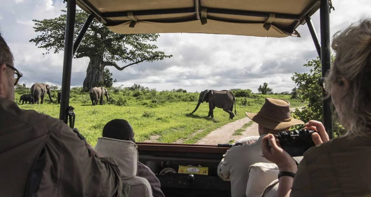 Explore 10 Days Kenya Best  Honeymoon Safari Package with 4x4 Land Cruiser Jeep for 10 days with Gracepatt Ecotours Kenya and discover unforgettable experiences - Photo 2