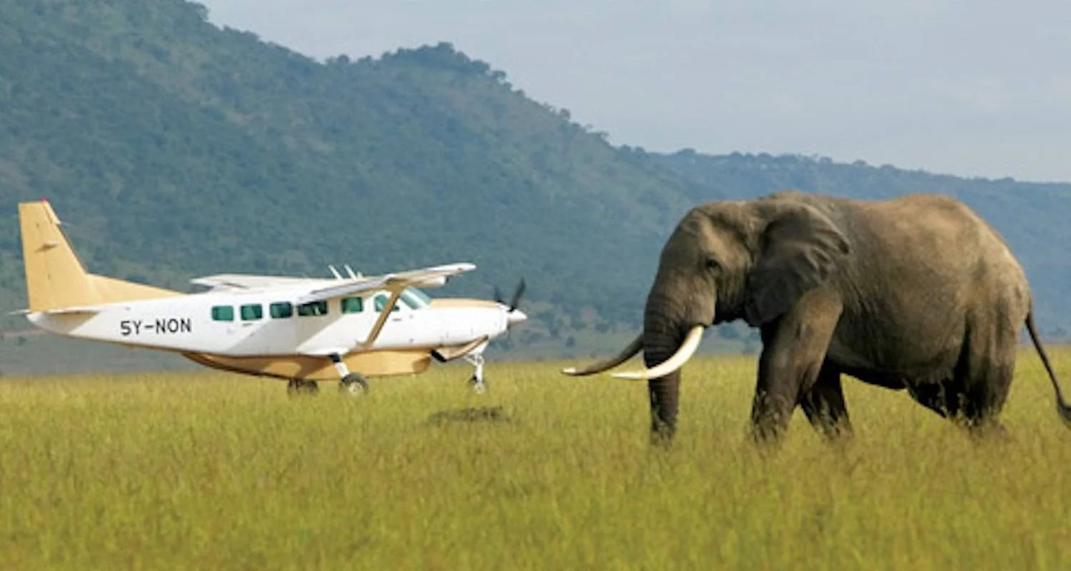 Explore 9 Days Best Of Kenya Wildlife Luxury Safari with Flights for 9 days with Gracepatt Ecotours Kenya and discover unforgettable experiences - Photo 2