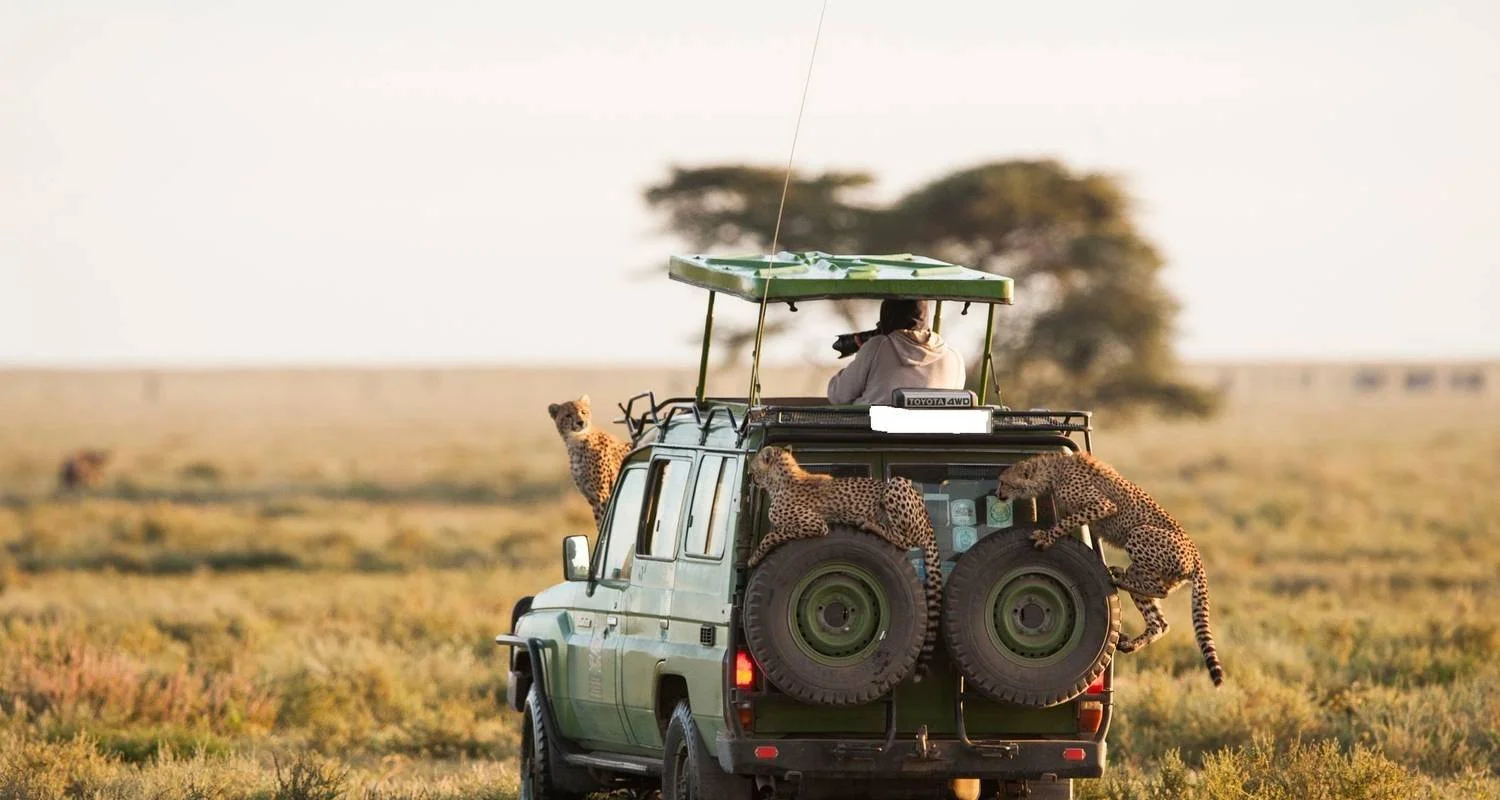 Explore 3 Days  Private Maasai Mara Sarova Luxury Safari With a 4x4 Land Cruiser Jeep for 3 days with Gracepatt Ecotours Kenya and discover unforgettable experiences - Photo 2