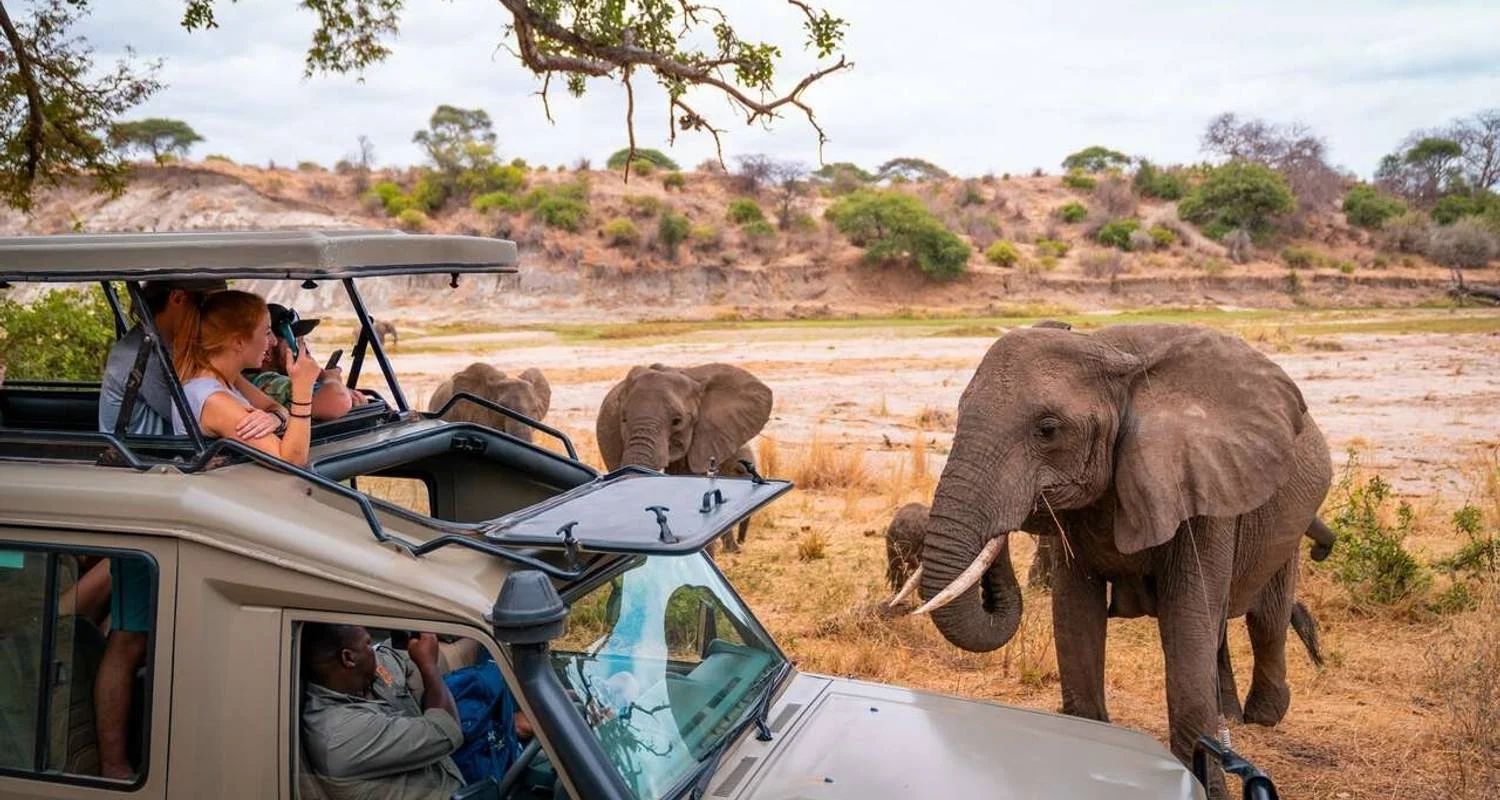 Explore 21days Private safari covering Mt Kenya, Ol Pejeta, Lake Nakuru, Hells gate, Maasai Mara, Amboseli, Tsavo and Diani Beach Holiday for 21 days with Gracepatt Ecotours Kenya and discover unforgettable experiences - Photo 2