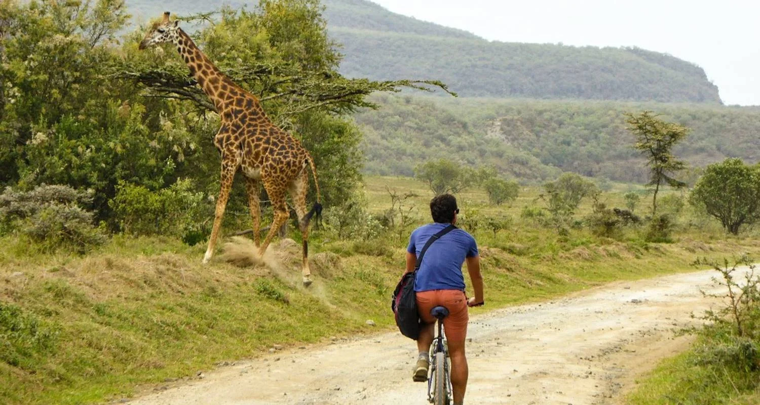 Explore 12 Days Best of Kenya and Tanzania Camping Safari for 12 days with Gracepatt Ecotours Kenya and discover unforgettable experiences - Photo 2