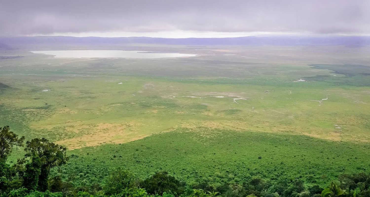 Explore 2 Day Tanzania Safari: Lake Manyara & Ngorongoro Crater from Arusha- Comfort for 2 days with Gracepatt Ecotours Kenya and discover unforgettable experiences - Photo 2