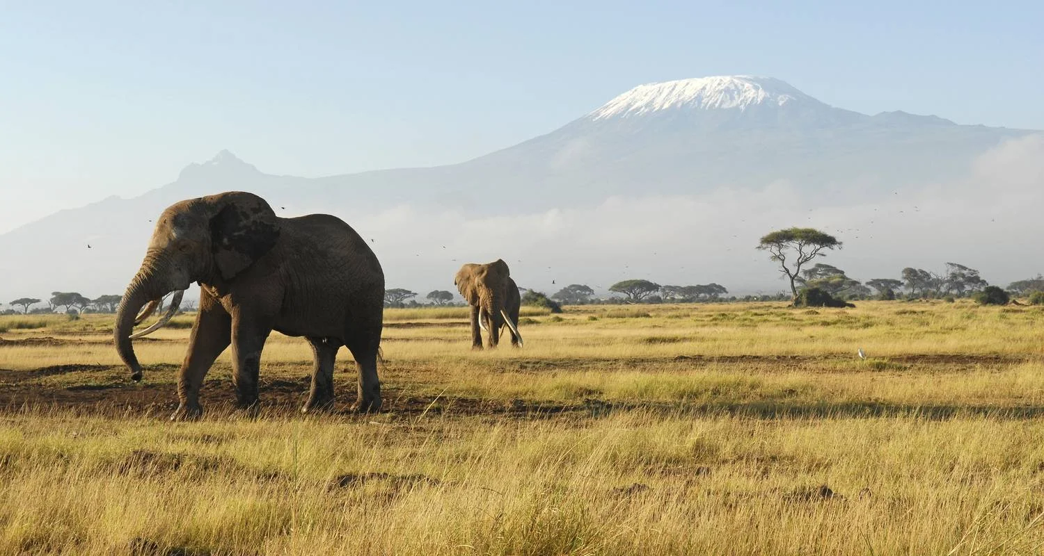 Explore 7 Day Tanzania Northern Circuit Safari: Lake Manyara, Serengeti, Ngorongoro, Tarangire National Park- Mid-range for 7 days with Gracepatt Ecotours Kenya and discover unforgettable experiences - Photo 2