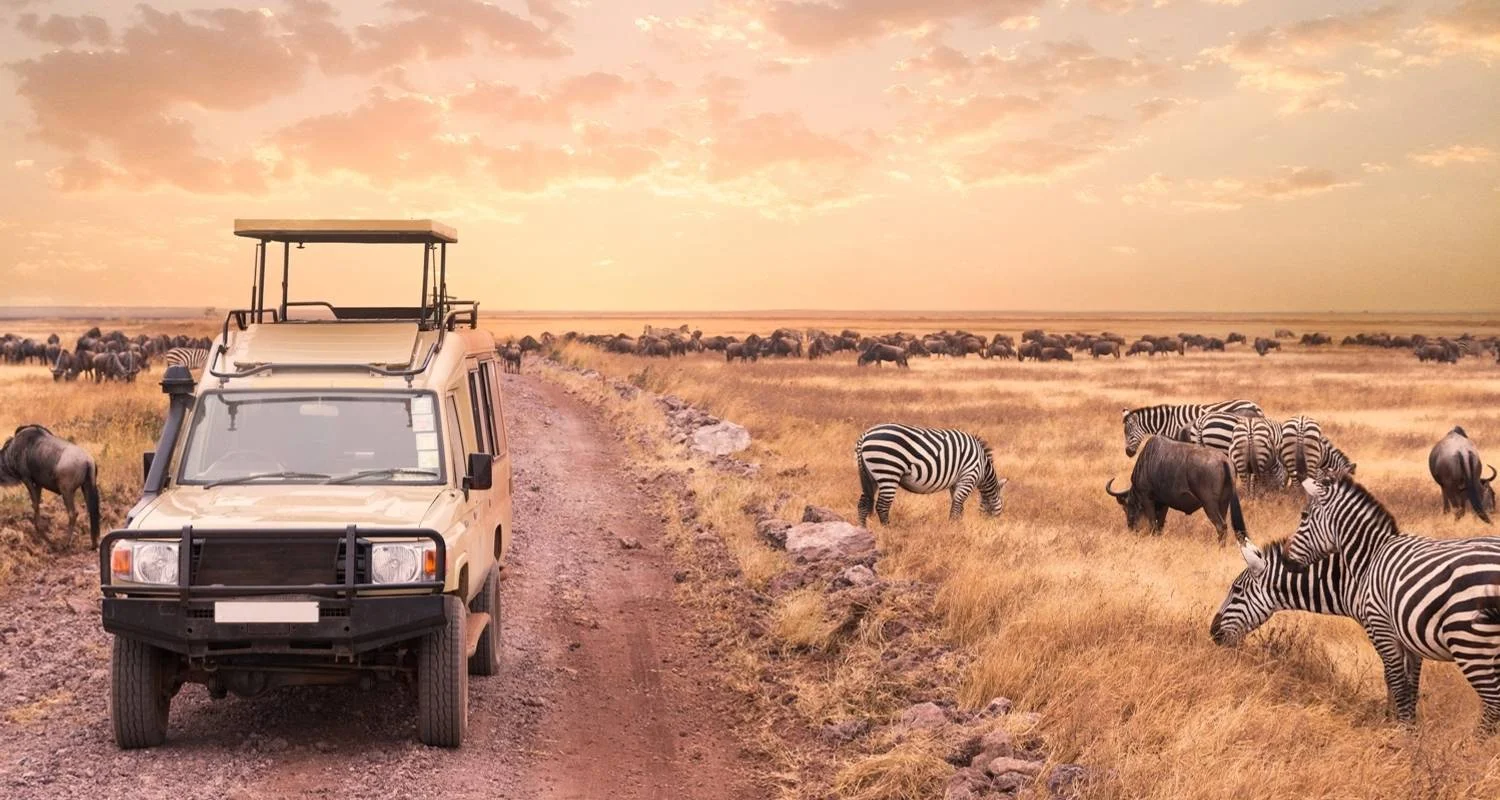 Explore 8-Day Maasai Mara Wildebeest Great Migration Private Safari for 8 days with Gracepatt Ecotours Kenya and discover unforgettable experiences - Photo 2