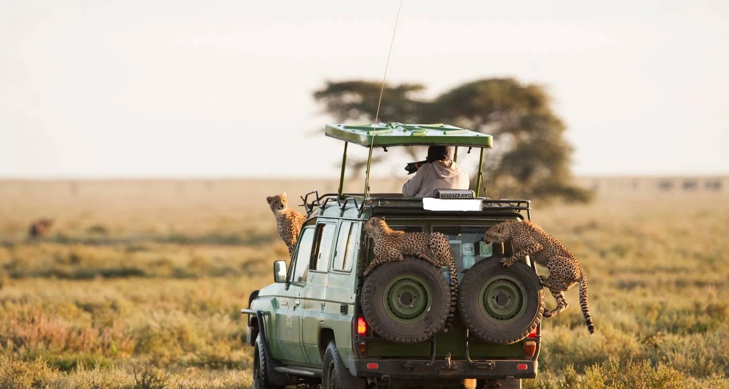 Explore 4-Day Serengeti and Ngorongoro Crater - 4 X 4 Cruiser-Comfort for 4 days with Gracepatt Ecotours Kenya and discover unforgettable experiences - Photo 2