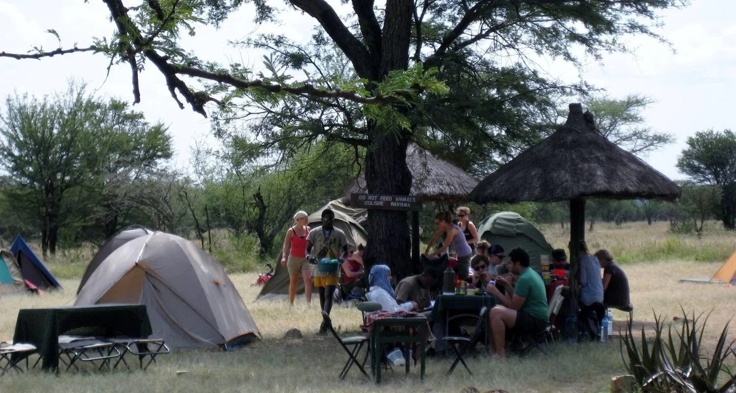 Explore 6-Day Tanzania Camping Safari: Lake Manyara, Serengeti, Ngorongoro Crater  and Tarangire National Park from Arusha for 6 days with Gracepatt Ecotours Kenya and discover unforgettable experiences - Photo 2