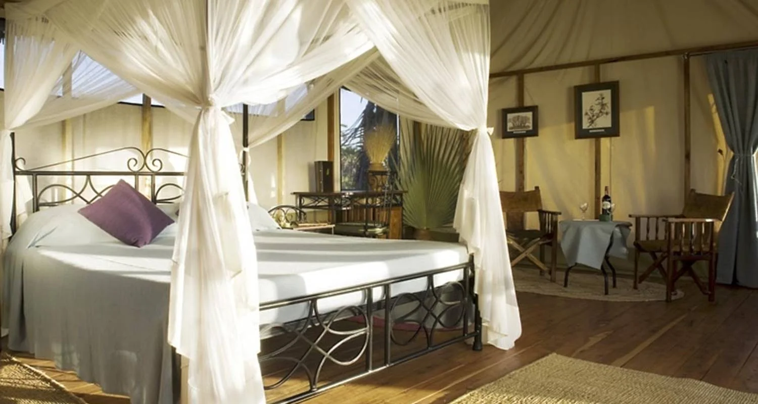 Explore 3-Days Masai Mara mid range Safari Combined with Hot Air Balloon Ride Experience for 3 days with Gracepatt Ecotours Kenya and discover unforgettable experiences - Photo 2