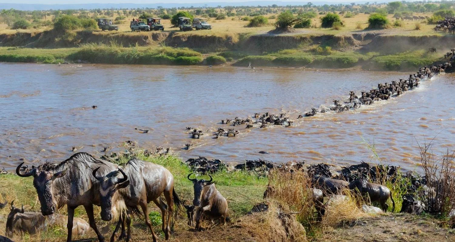 Explore 4-Days Masai Mara Safari Combined with Hot Air Balloon Ride Experience for 4 days with Gracepatt Ecotours Kenya and discover unforgettable experiences - Photo 2