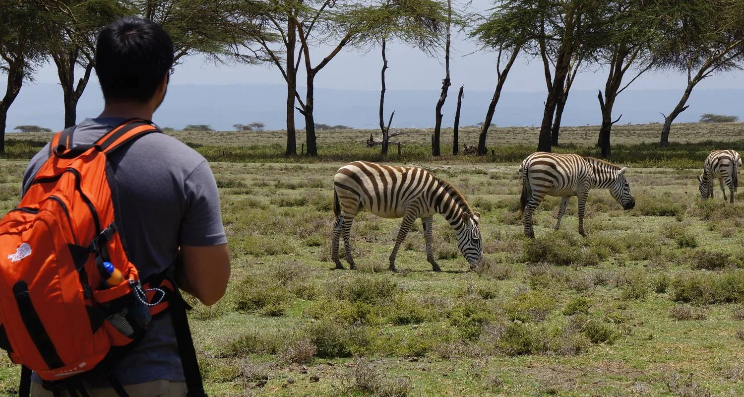 Explore 9-Day Kenya Wildlife Safari Experience for 9 days with Gracepatt Ecotours Kenya and discover unforgettable experiences - Photo 2