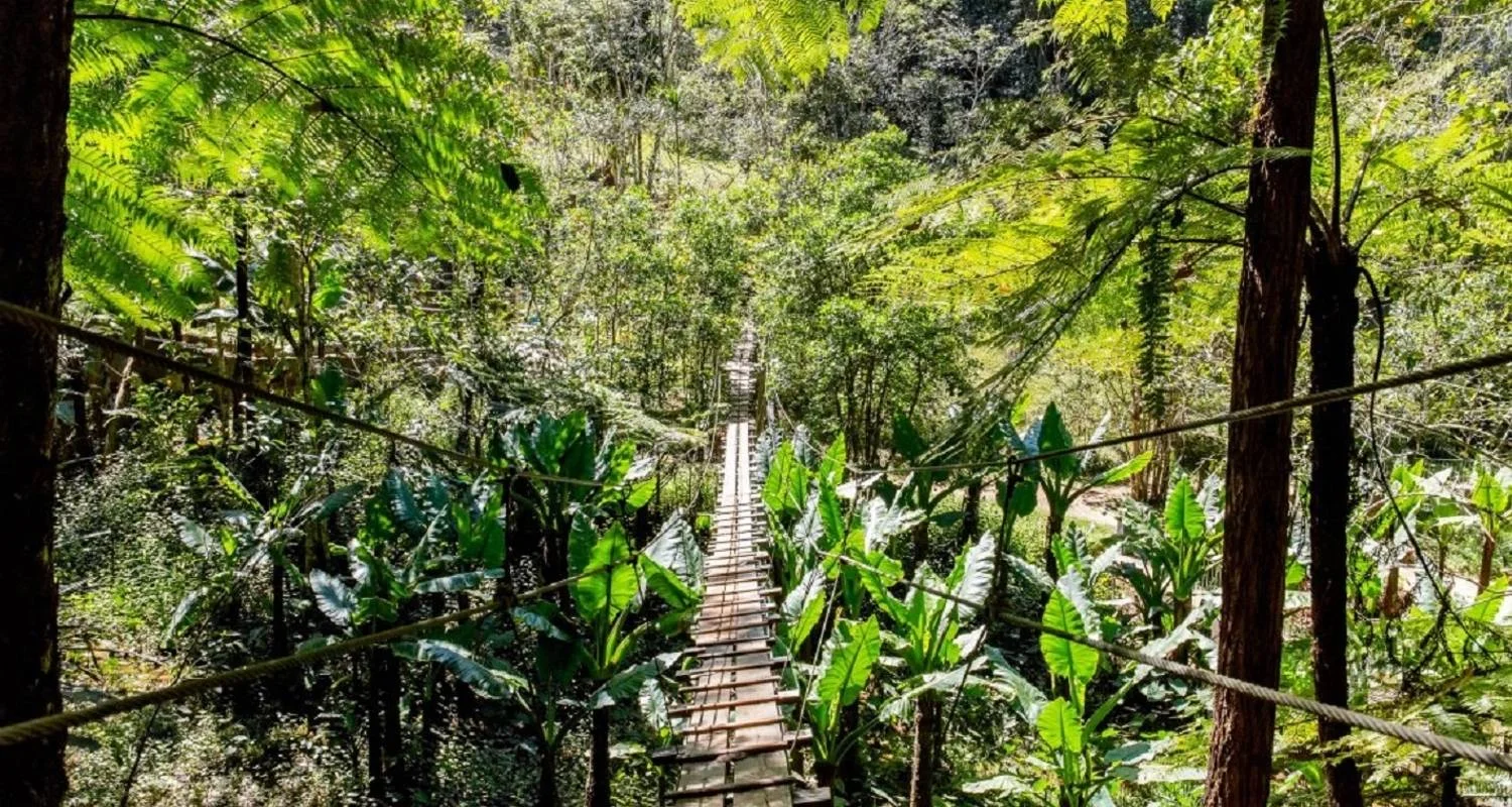 Explore Pangalanes  Channel extraordinary journey for 14 days with Green Island Discovery and discover unforgettable experiences - Photo 2