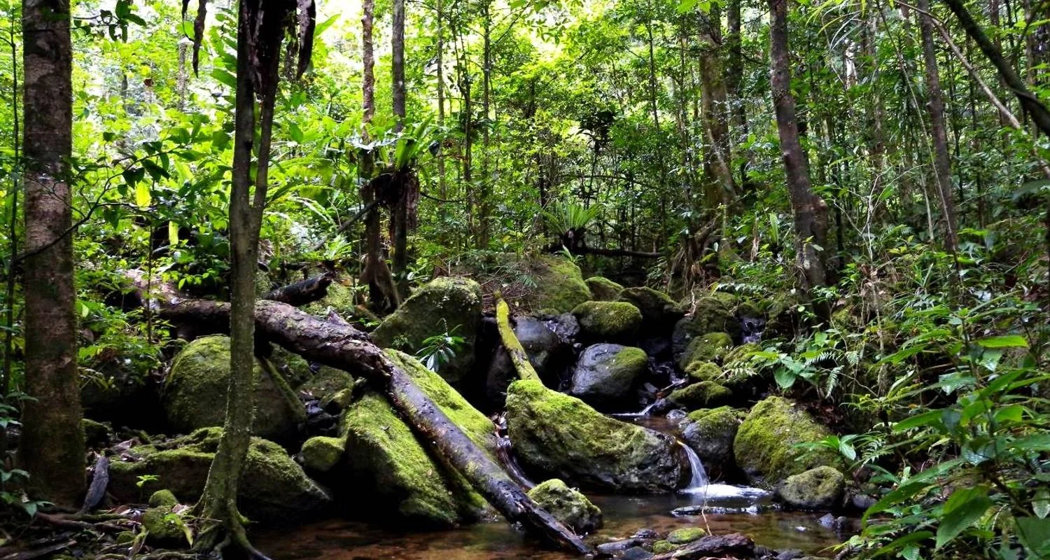 Explore The South destination kaleidoscope discovery for 14 days with Green Island Discovery and discover unforgettable experiences - Photo 2