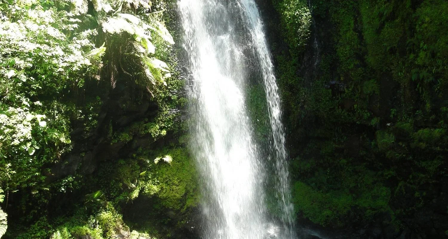 Explore The Vanilla of Madagascar for 15 days with Green Island Discovery and discover unforgettable experiences - Photo 2