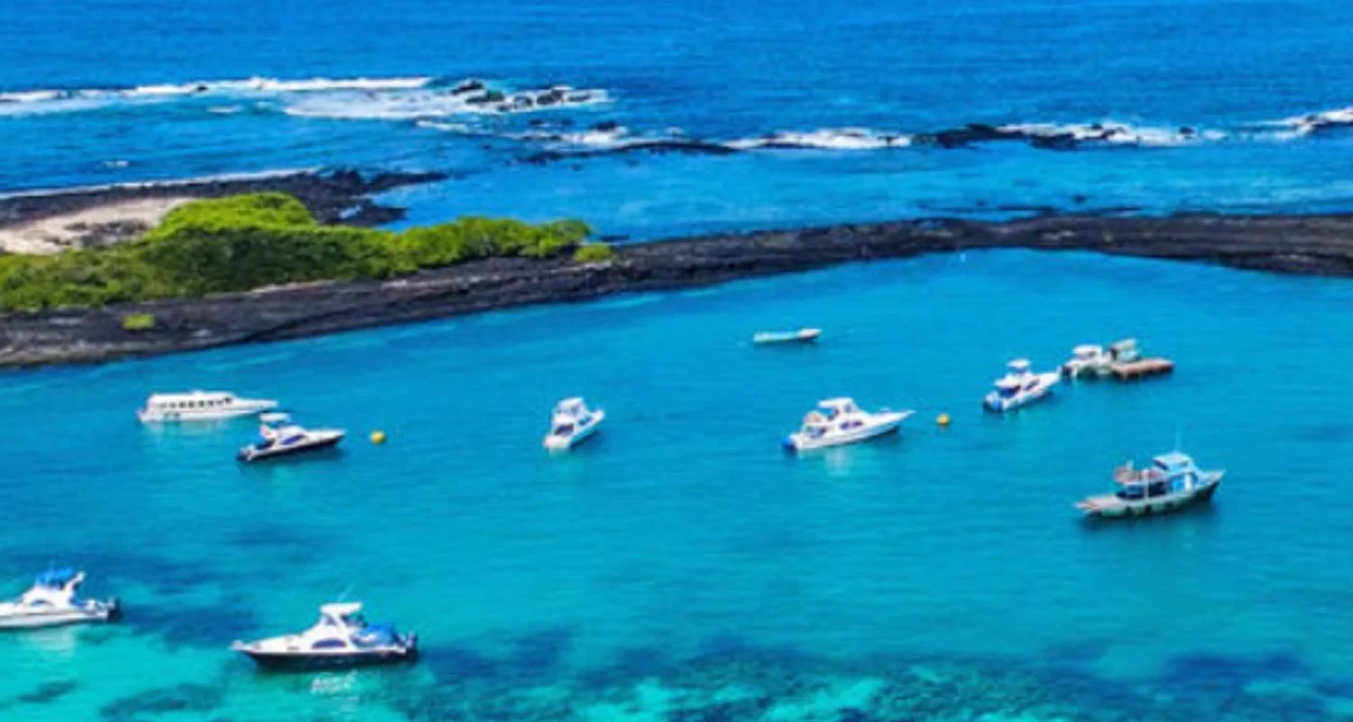 Explore Ecuador complete experience Highlands, Amazon & Galapagos - 15 days for 15 days with Gulliver Expeditions and discover unforgettable experiences - Photo 2