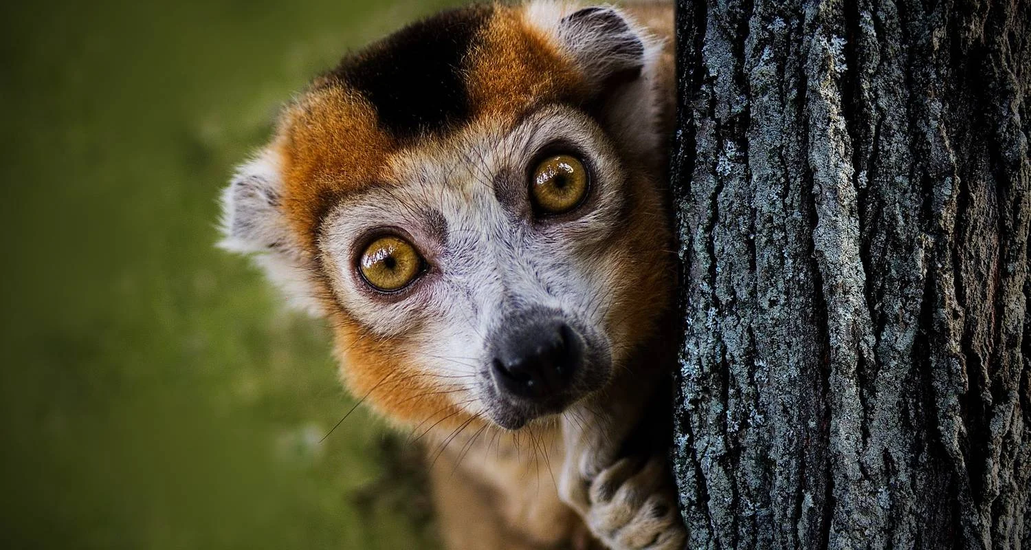 Explore Great Adventure for 15 days with HT Agency Tours and discover unforgettable experiences - Photo 2