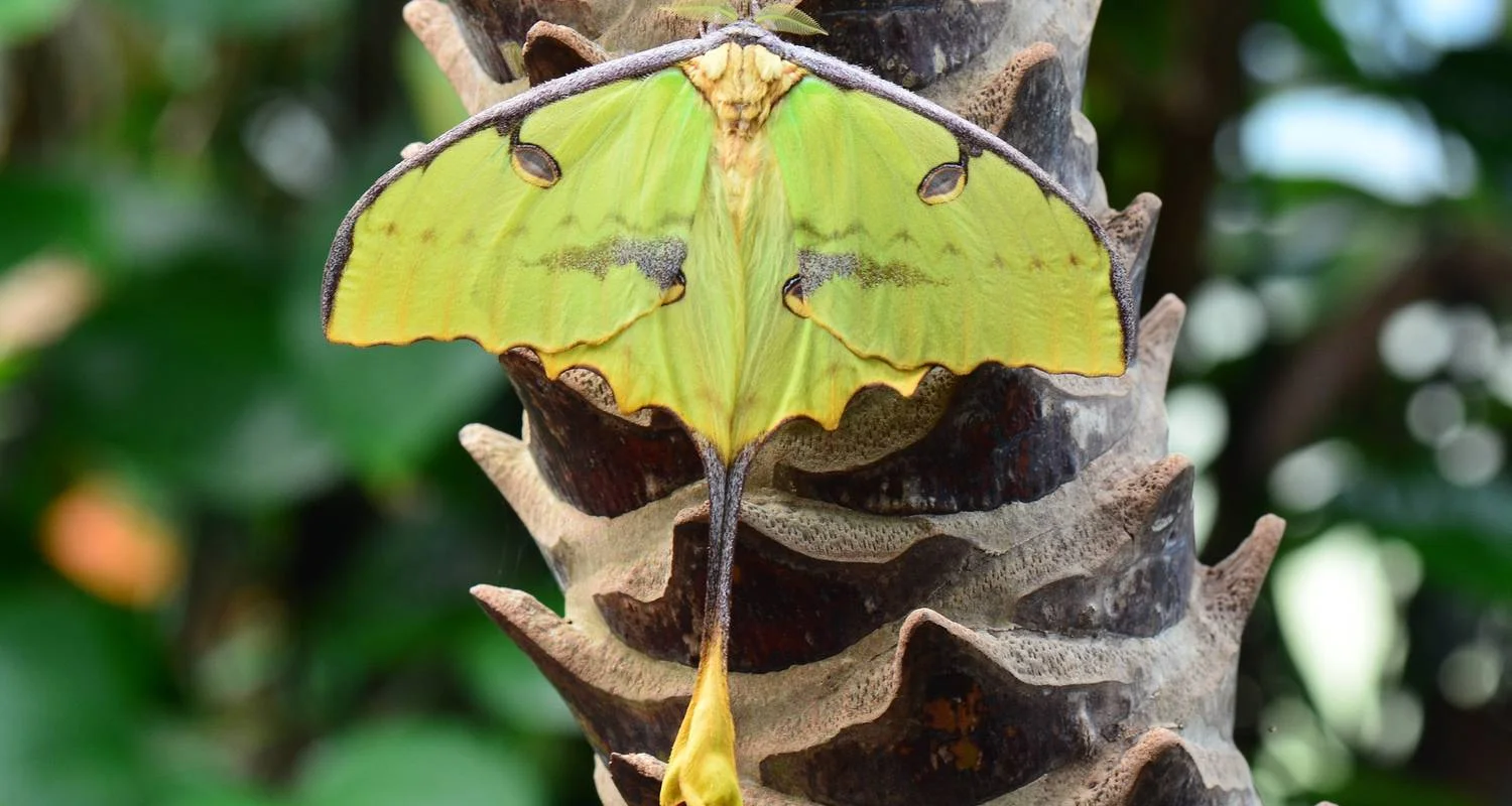 Explore St. Marie - Pangalane - Southern for 18 days with HT Agency Tours and discover unforgettable experiences - Photo 2