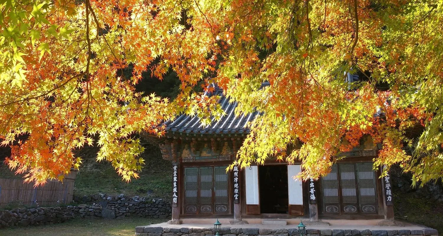 Explore 2025 Discover Western Korea in 4days:  A Wellness Holiday for 4 days with HanaTour ITC and discover unforgettable experiences - Photo 5