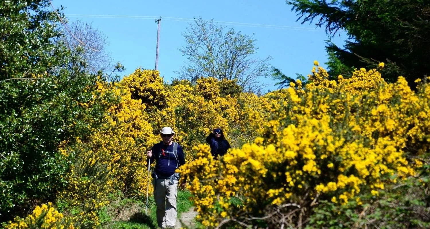 Explore The Wicklow Way: Self Guided 5 Day for 5 days with Hilltoptreks and discover unforgettable experiences - Photo 2