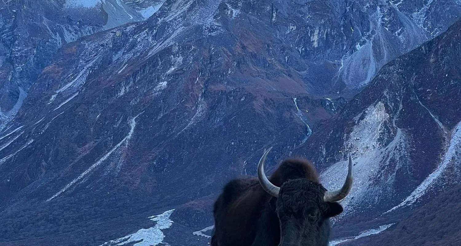 Explore Pikey Peak Trek 2024 for 7 days with Himalaya Heart Treks & Expedition[P] Ltd  and discover unforgettable experiences - Photo 2