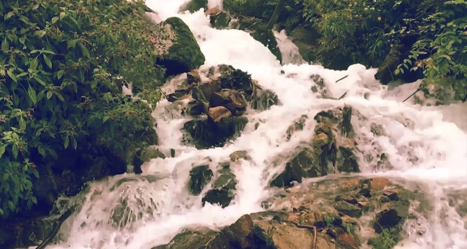 Explore Panch Pokhari Trek for 14 days with Himalayan Adventure Treks & Tours and discover unforgettable experiences - Photo 2