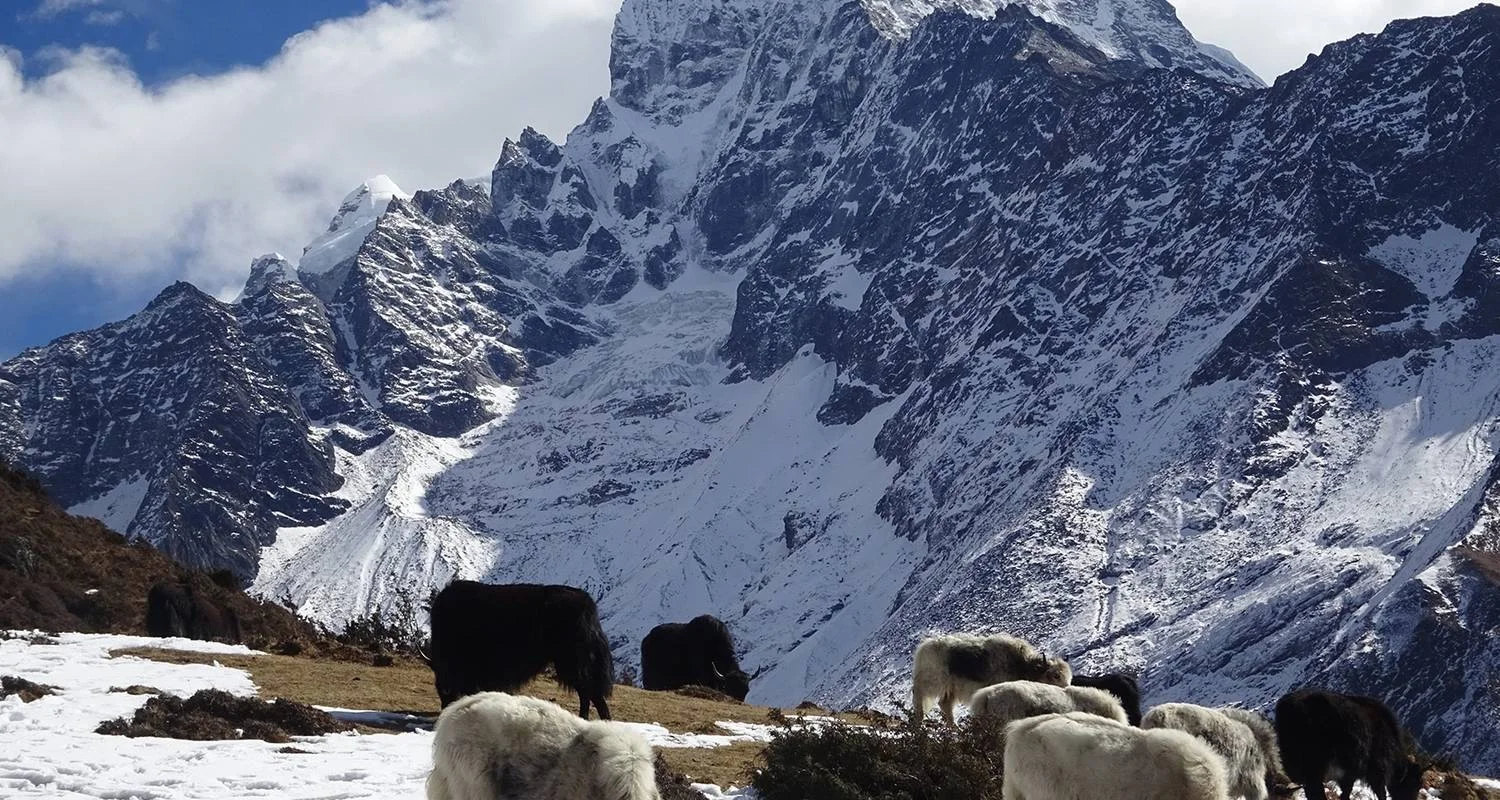 Explore Everest View Trek for 5 days with Himalayan Adventure Treks & Tours and discover unforgettable experiences - Photo 2