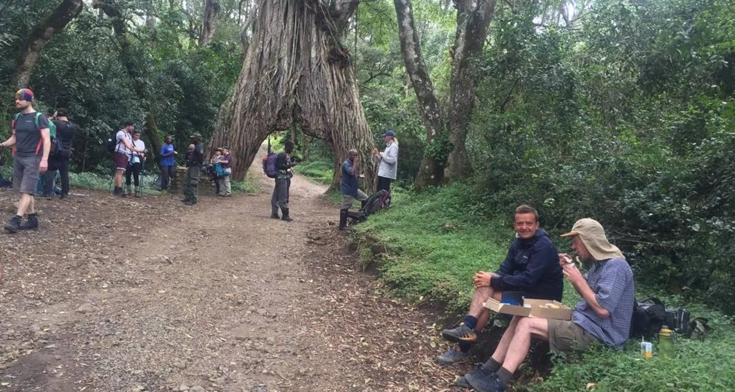 Explore Kilimanjaro climb via Umbwe route for 8 days with Himalayan Glacier Adventure and Travel Company and discover unforgettable experiences - Photo 2