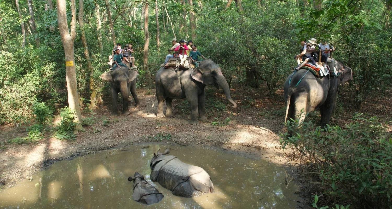 Explore 2 Night 3 Days Chitwan Jungle Safari Tour Package for 3 days with Himalayan Recreation Treks & Expedition Pvt.ltd and discover unforgettable experiences - Photo 2
