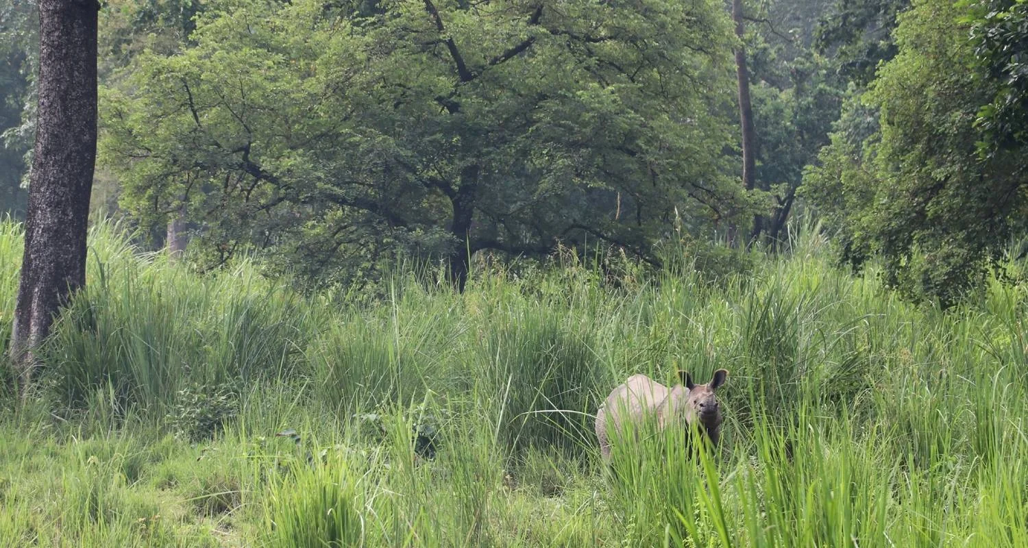 Explore Nepal Reflection Tour | 9 Days in Nepal for 9 days with Himalayan Planet Adventures and discover unforgettable experiences - Photo 2