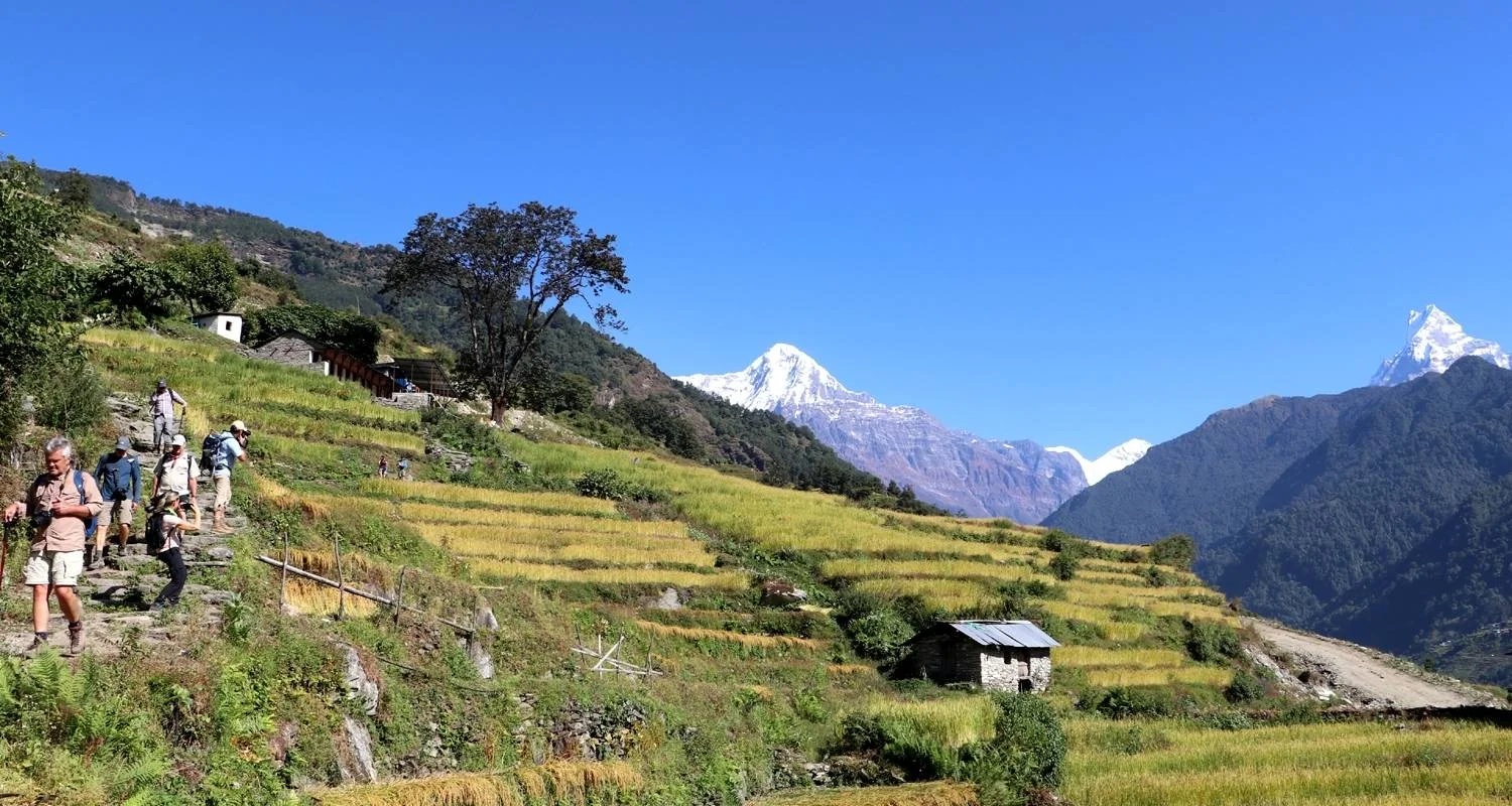 Explore Poon Hill Trek around Annapurna Himalayas for 9 days with Himalayan Planet Adventures and discover unforgettable experiences - Photo 2