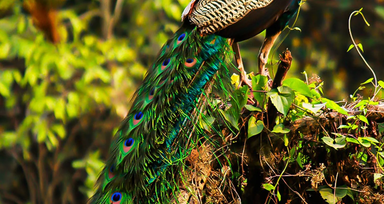 Explore Nepal Luxury Tour for 9 days with Himalayan Trekking & Tours and discover unforgettable experiences - Photo 2