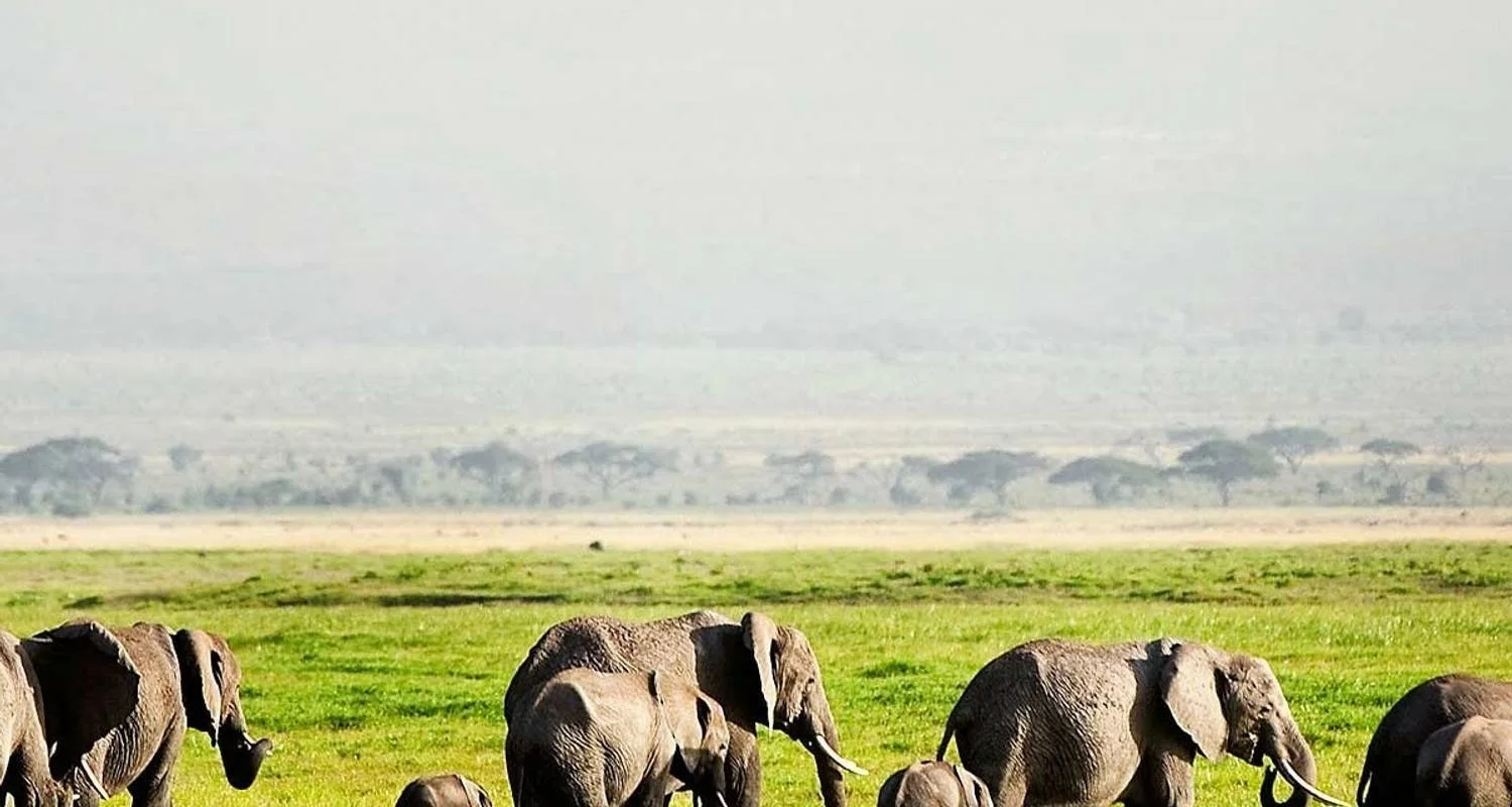 Explore 6 Day Kenya Cultural Safari for 6 days with Holiday Destination Safaris and discover unforgettable experiences - Photo 2