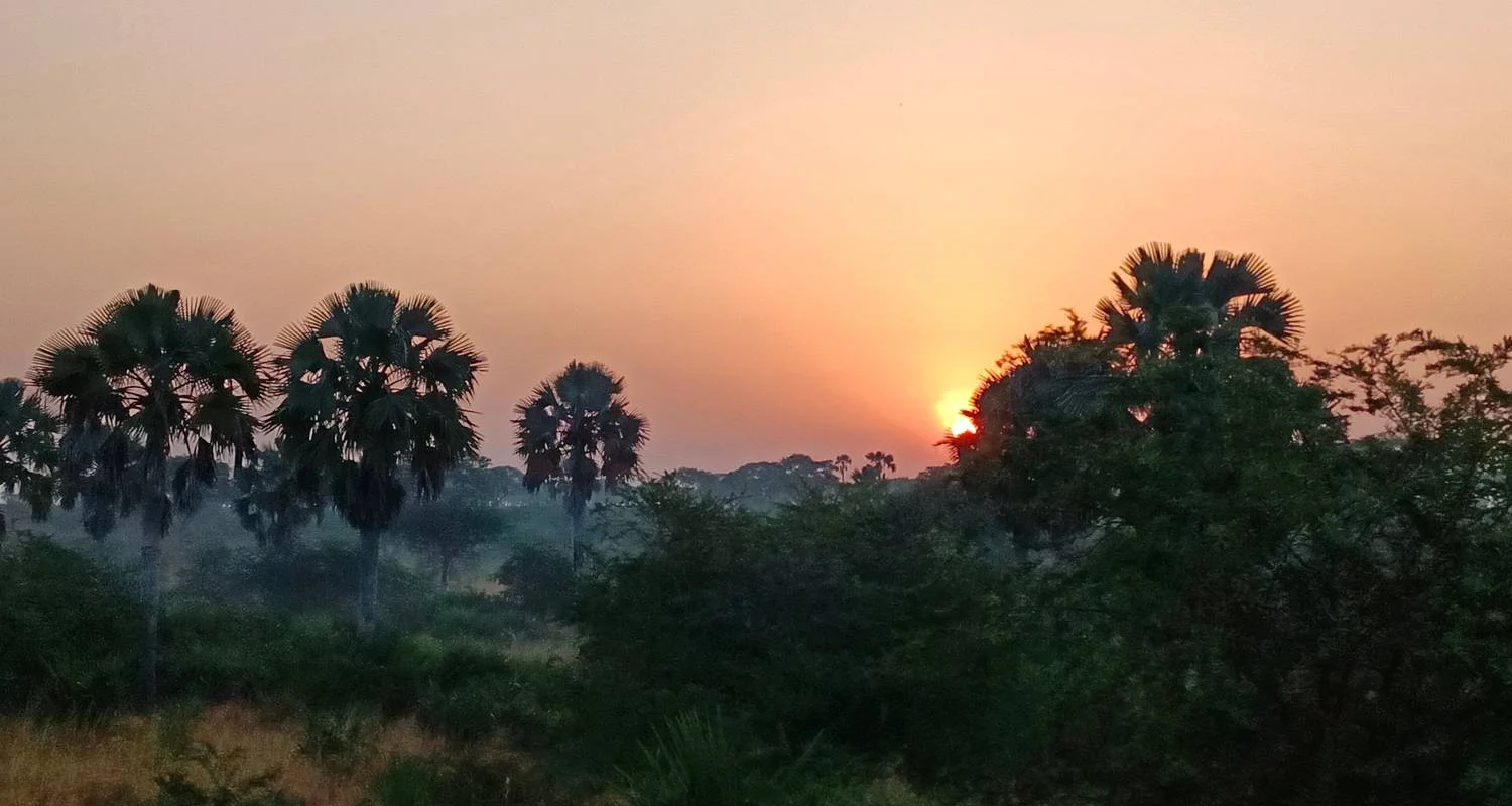 Explore Grand East African Safari (Gorilla & Migration) for 12 days with Holiday Destination Safaris and discover unforgettable experiences - Photo 2