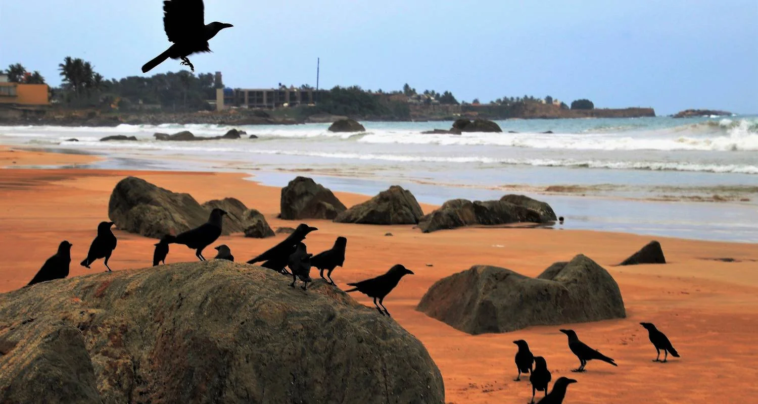 Explore Sri Lanka Itinerary 9 Days for 9 days with Holiday Lanka Tours and discover unforgettable experiences - Photo 2