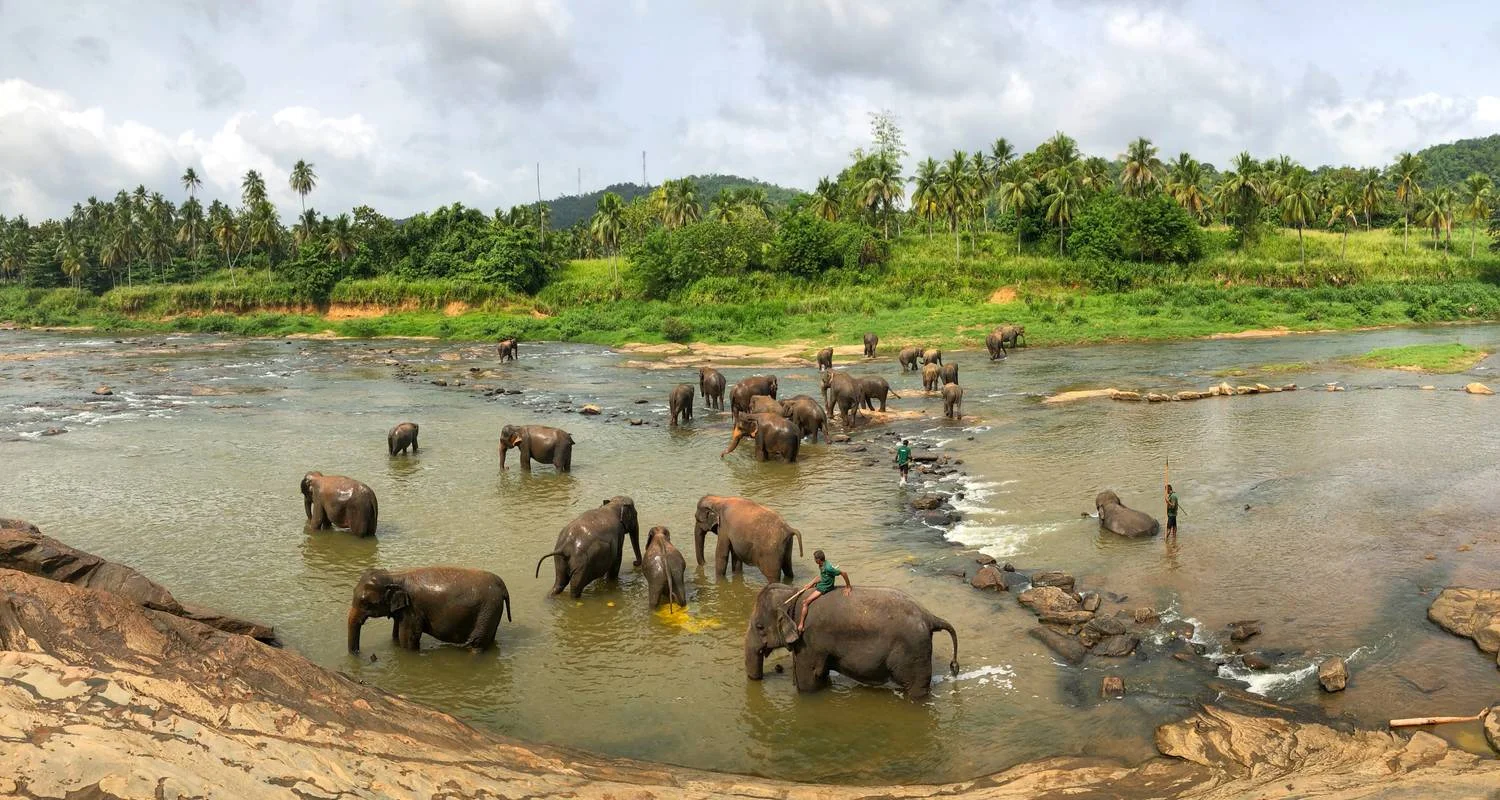 Explore 4 Days in Sri Lanka Itinerary for 4 days with Holiday Lanka Tours and discover unforgettable experiences - Photo 2