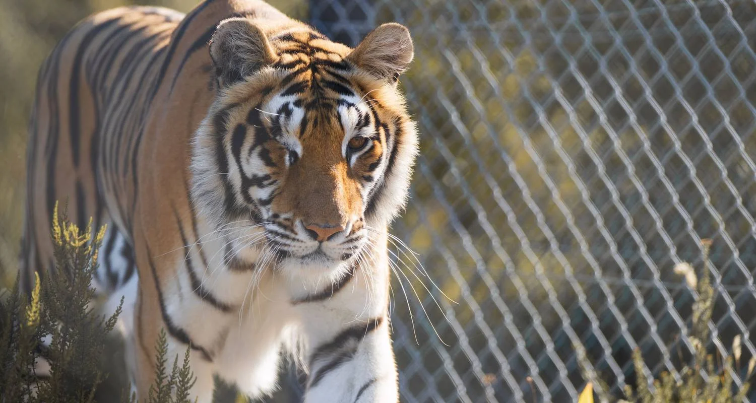 Explore 2 day Wow Cape Escape for 2 days with Hotspots2c and discover unforgettable experiences - Photo 2