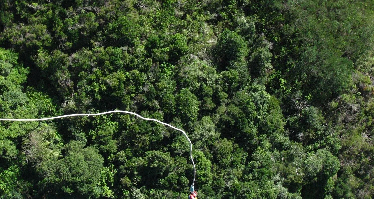 Explore 3 day Garden Route + Safari Highlights Tour from Cape Town for 3 days with Hotspots2c and discover unforgettable experiences - Photo 2