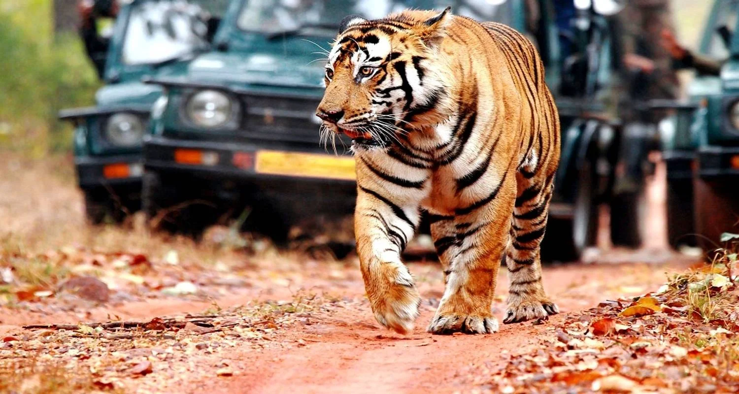 Explore Luxury Golden Triangle Tour with Ranthambore for 9 days with Holidays At and discover unforgettable experiences - Photo 2