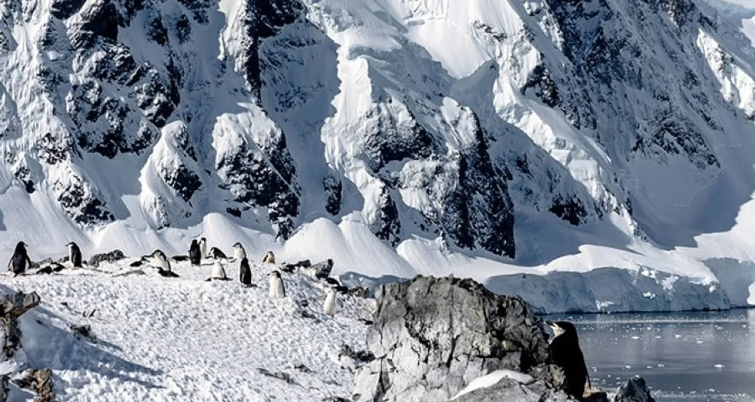 Explore Highlights of Antarctica (MS Fridtjof Nansen, 2025) for 12 days with Hurtigruten and discover unforgettable experiences - Photo 2