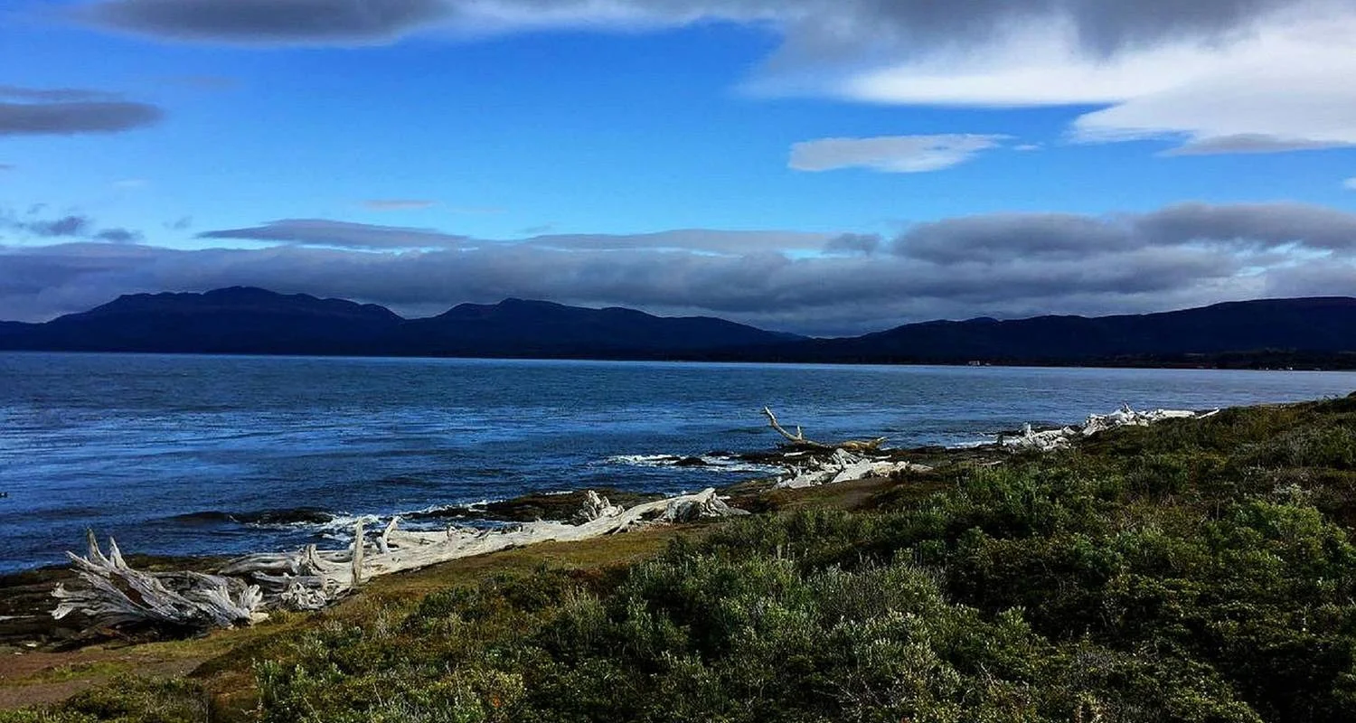 Explore In-Depth Antarctica, Falklands & South Georgia Expedition (2025) for 23 days with Hurtigruten and discover unforgettable experiences - Photo 2