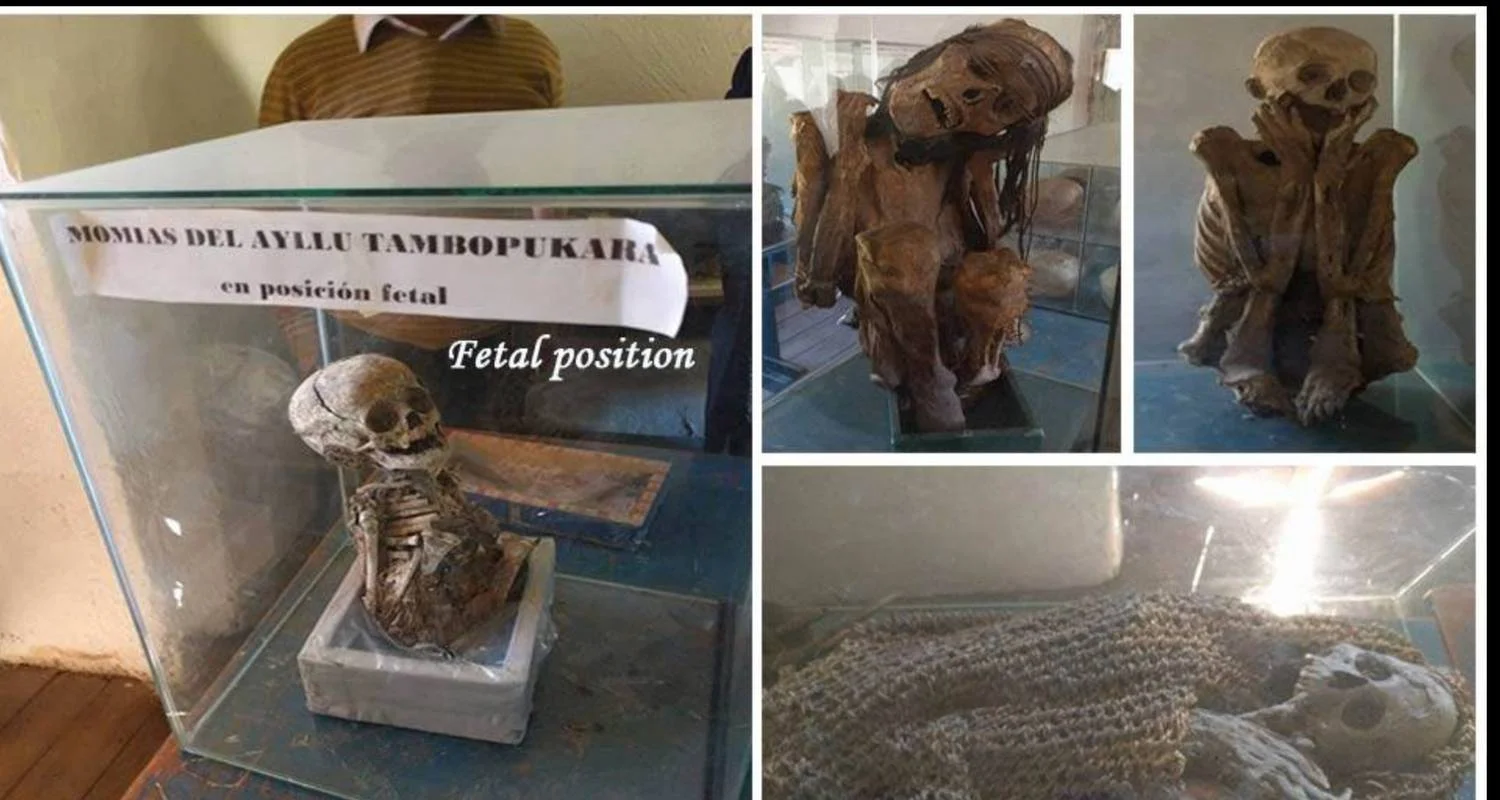 Explore 4/3 Waqrapucara Hike or Huacrapucara (Private Only) for 4 days with ILE Tours and discover unforgettable experiences - Photo 2