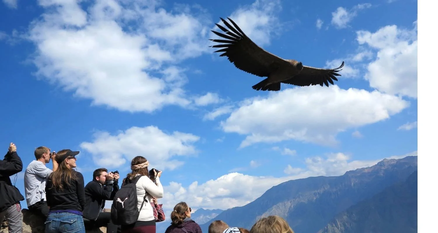 Explore 11/10 Lima, Cusco, Machu Picchu, Lake Titicaca, Colca Canyon, Arequipa (Small Group Tours) for 11 days with ILE Tours and discover unforgettable experiences - Photo 2