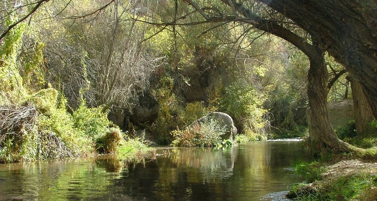 Explore 8 Days - Ephesus Pamukkale Cappadocia Istanbul Tours for 8 days with Iglesias Tour Turkey and discover unforgettable experiences - Photo 2