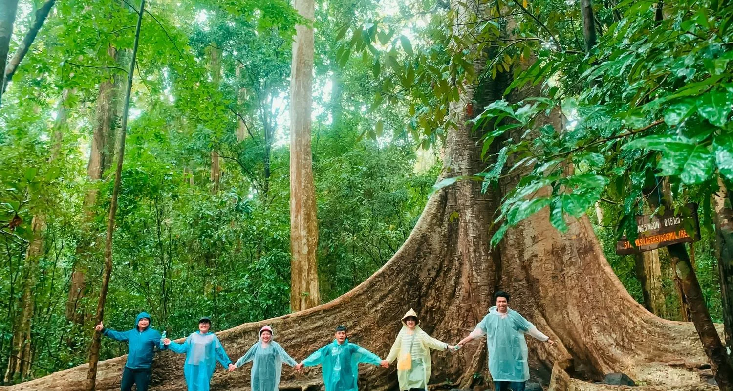 Explore 3 Days/2 Nights in Nam Car Tien - Ecological Trail – Night Safari – Crocodile Lake – Boat Tour for 3 days with Ideal Travel Asia and discover unforgettable experiences - Photo 2